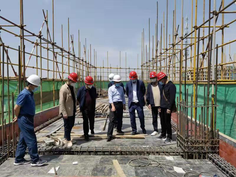 241650772335329358.jpeg 241650772335329358.jpeg