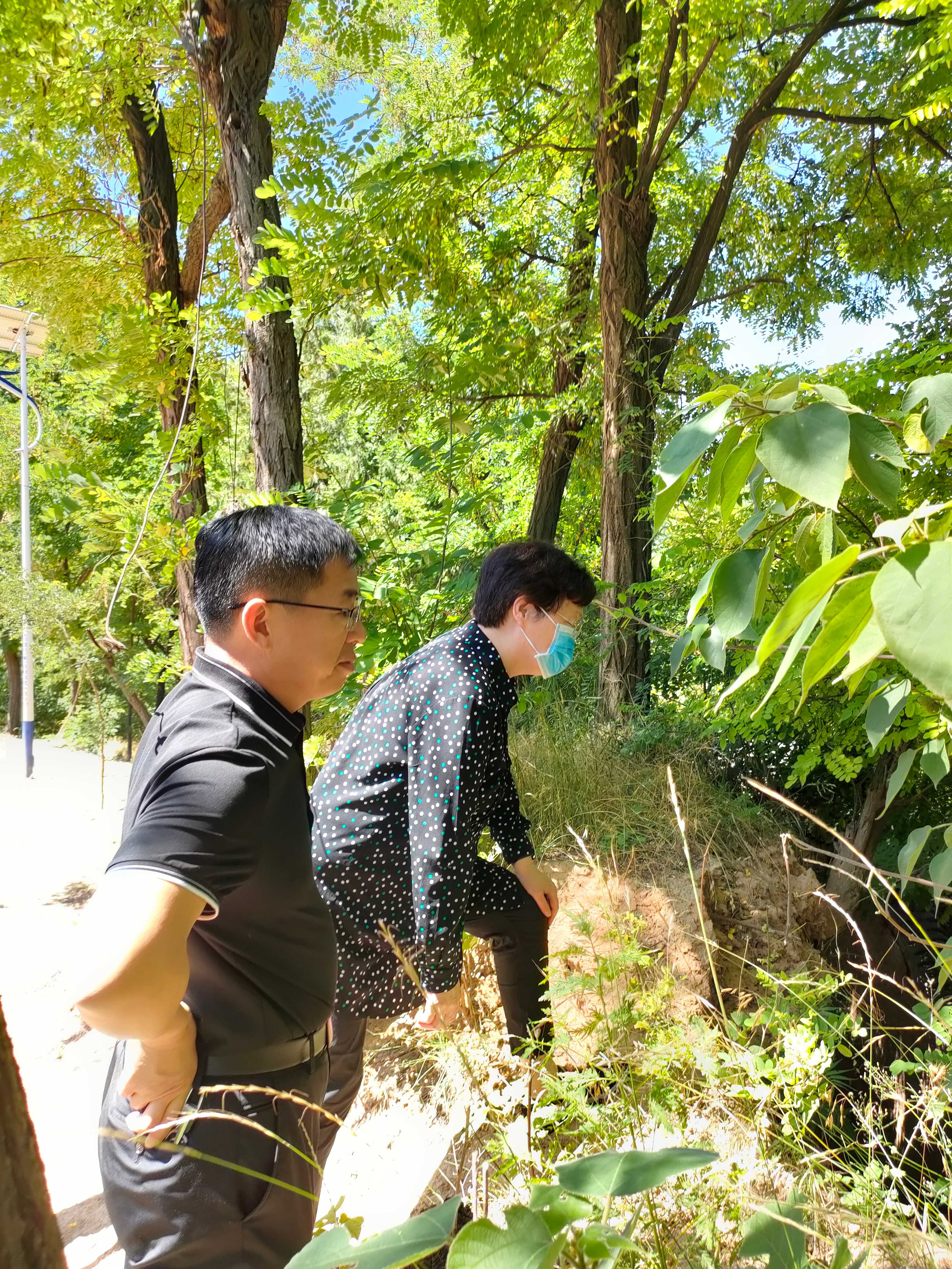 171655457575335014.jpeg 171655457575335014.jpeg