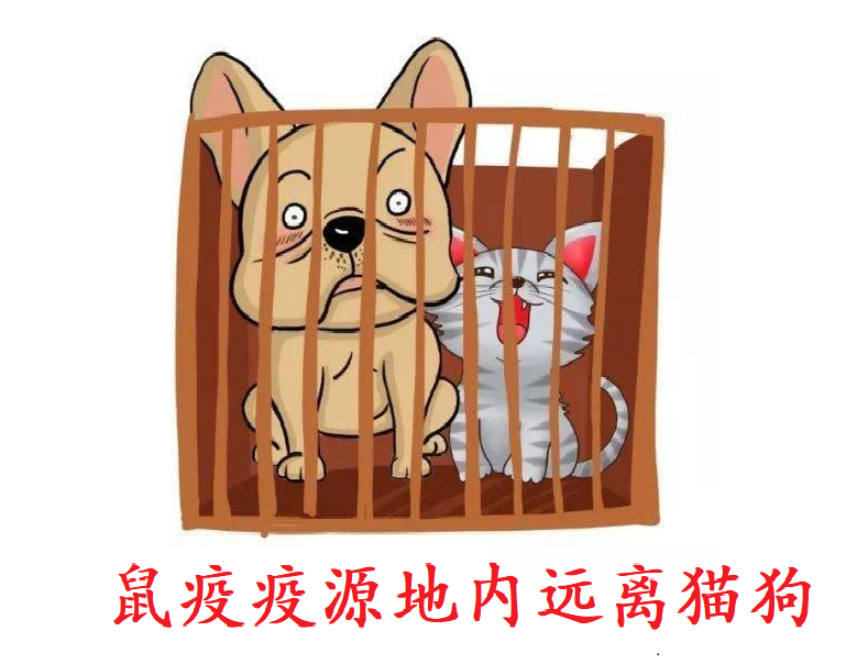 291656466927821456.png 291656466927821456.png