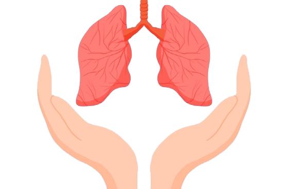 241679648714576704.jpeg 241679648714576704.jpeg